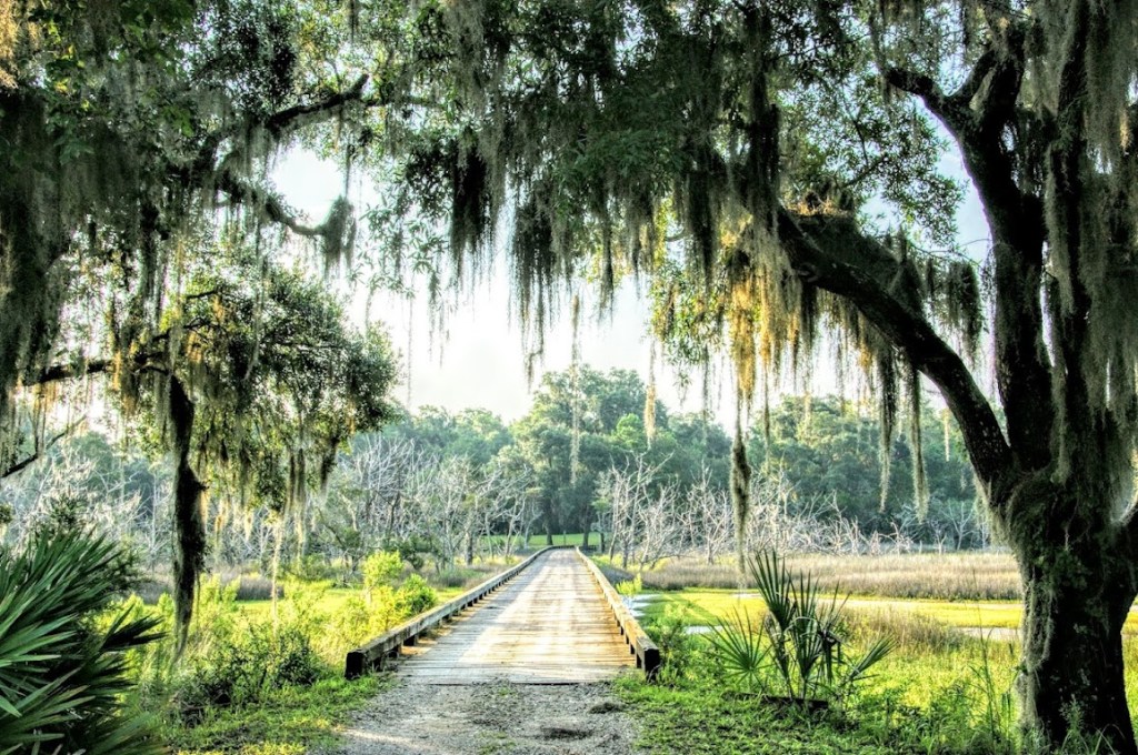 view down the bridge from under the tree shade