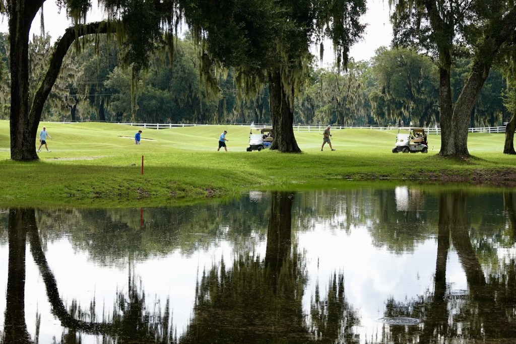 look at golfers on the fairway from behind a water hazard