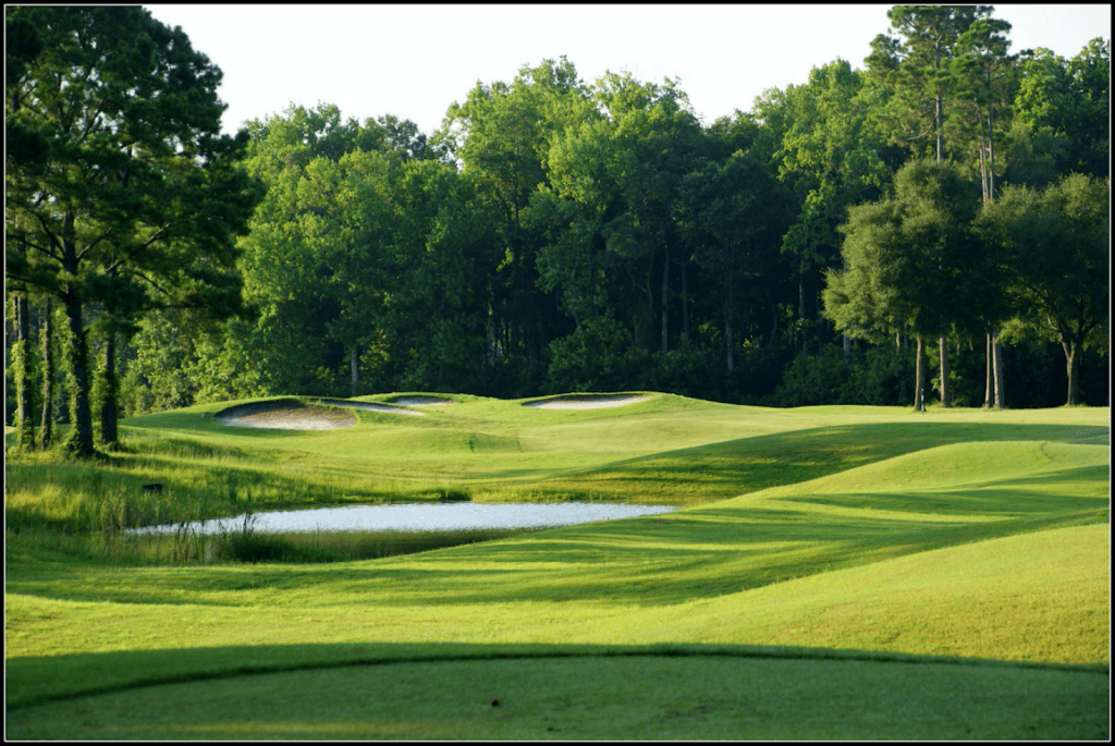 creek next to the green