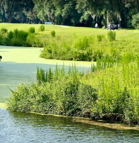 Marsh view at Sapelo Hammock Golf Club